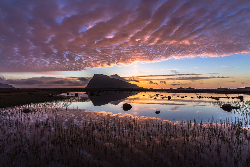 midnight sun Lofoten